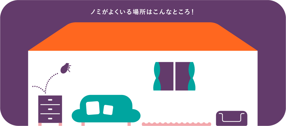ノミが生息している場所