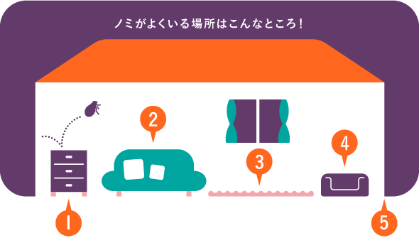 ノミが生息している場所