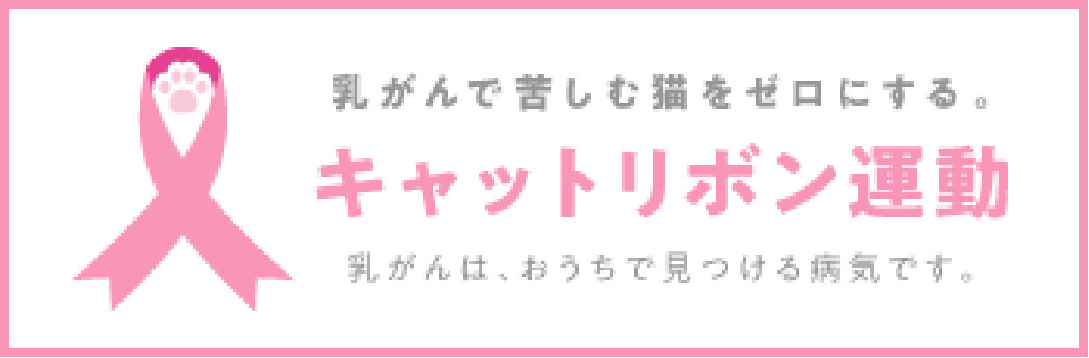 乳がんで苦しむ猫をゼロにする。キャットリボン運動公式HP