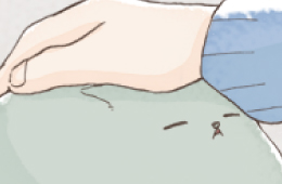 改めまして